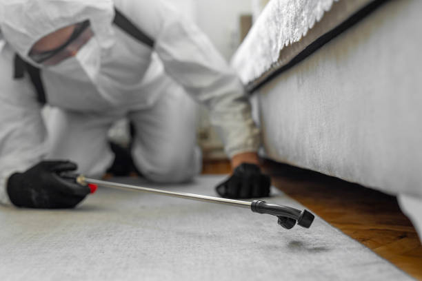 Professional Bed Bug Control technician working in Hyrum, UT
