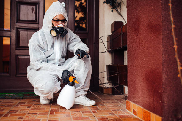 Reliable Bed Bug Control contractor in Hyrum, UT by Nex Pest Control